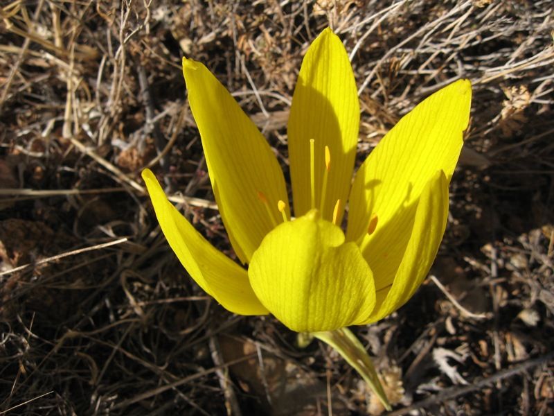 G�Z ���E��