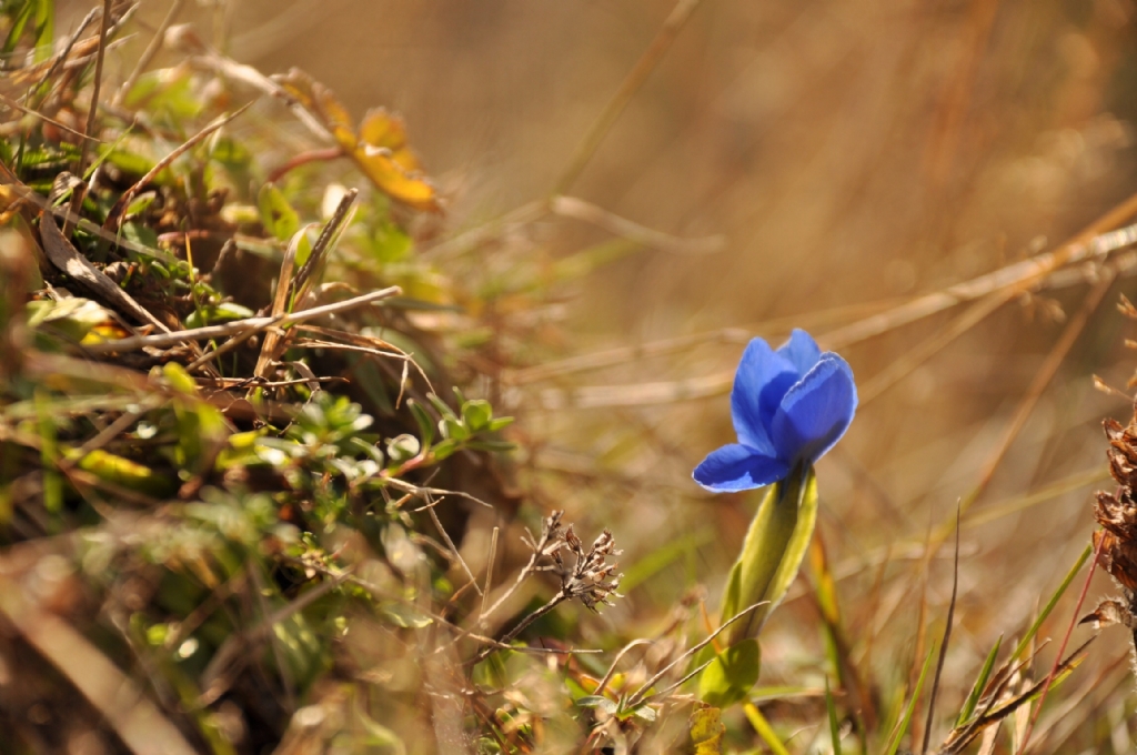 Doa srprizlerle dolu