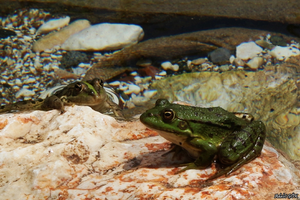 bak��lar�nda mana var :)