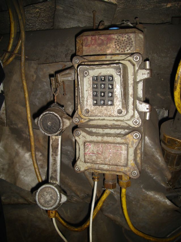 A S R I N    C A D I ...