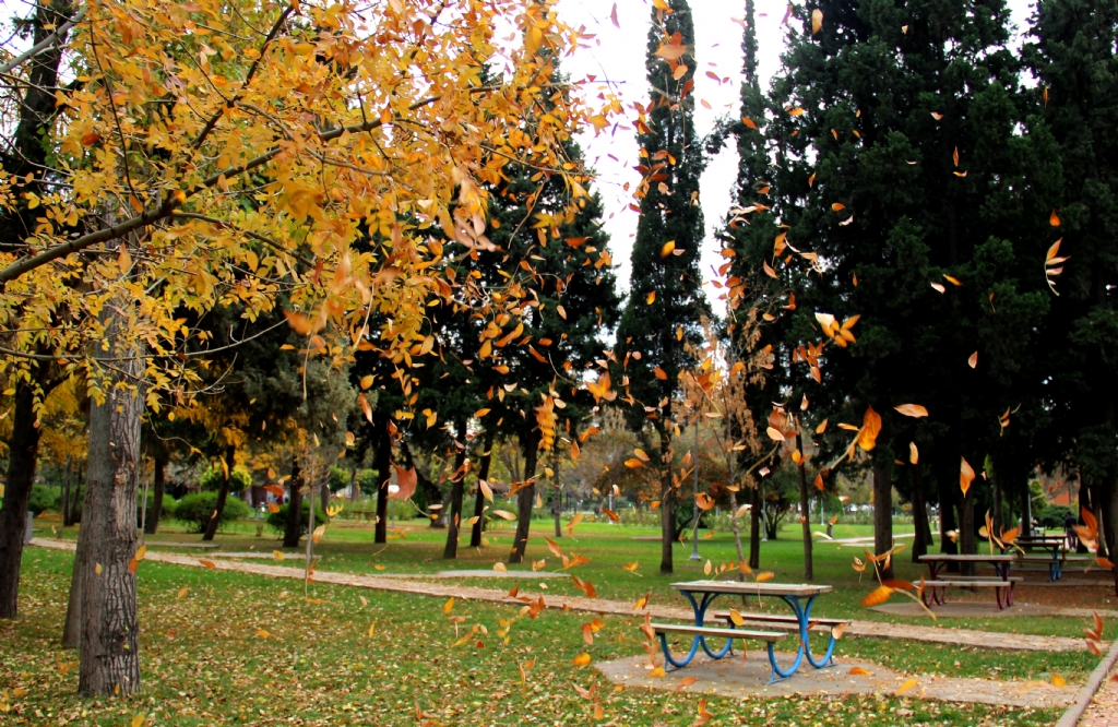 K.Mara�'ta Sonbahar