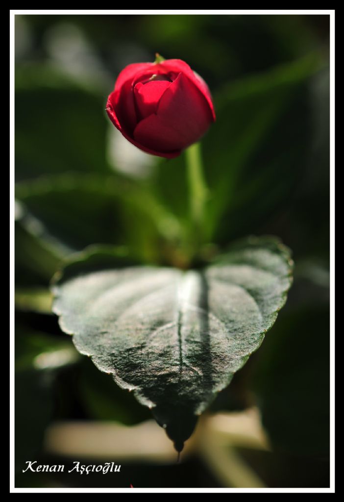 ��retmenlerime...