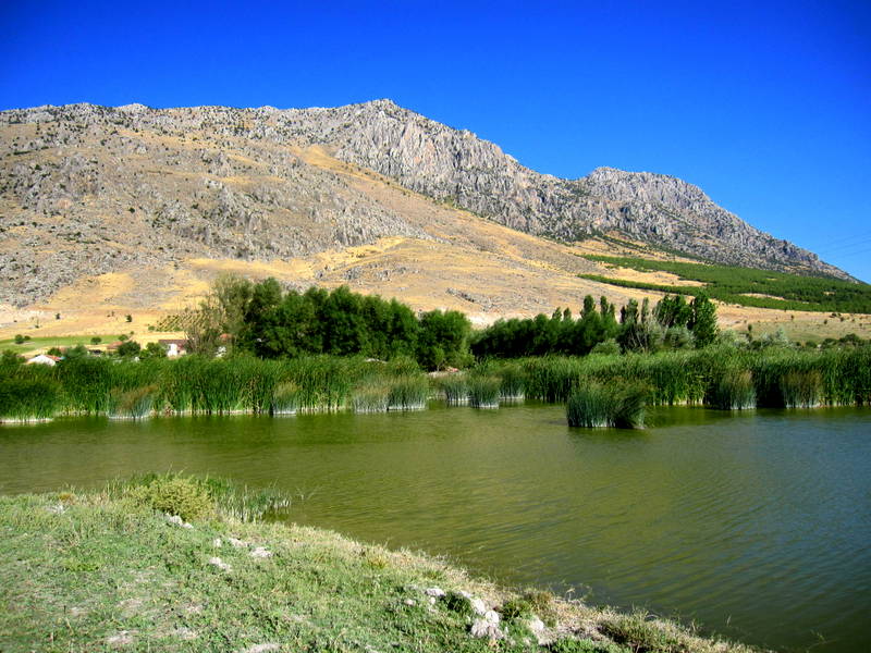 Ac�payam ovas�nda g�l ve da�lar