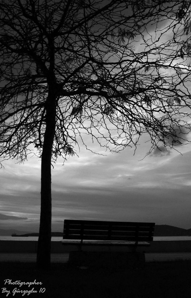 Nerdesin yaln�zl�k