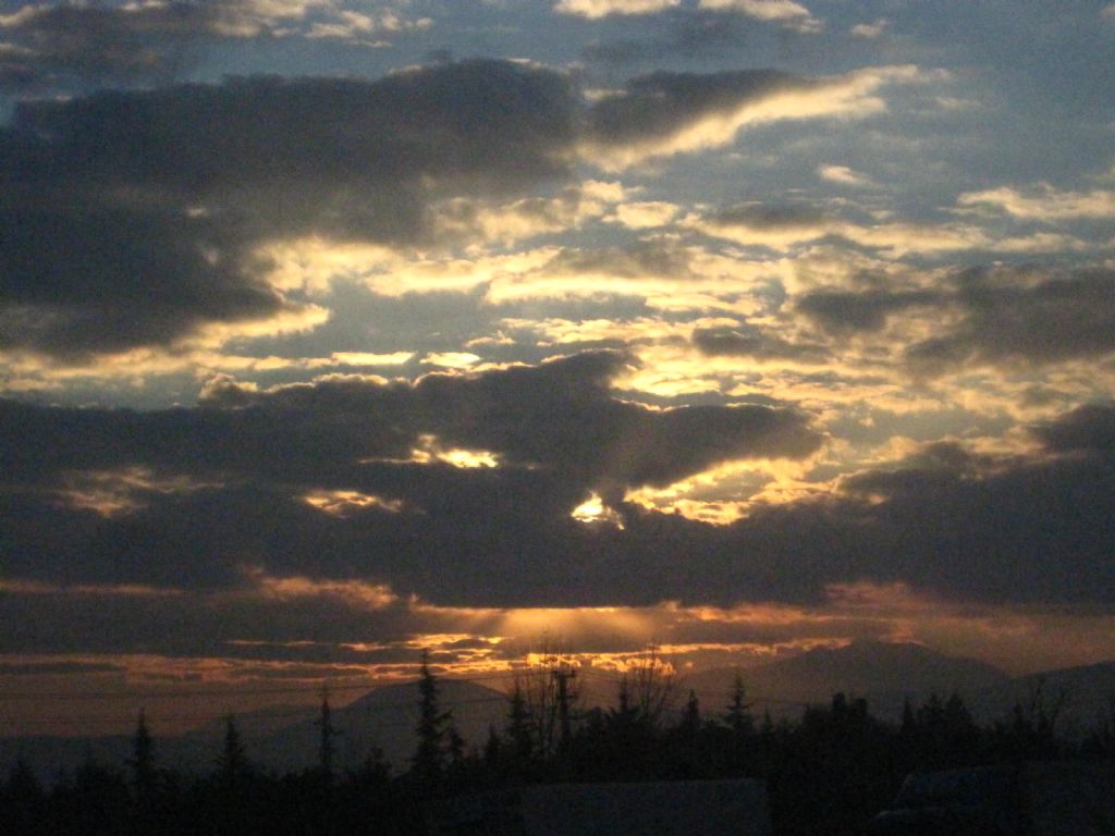 ulvi ar yla pantomim