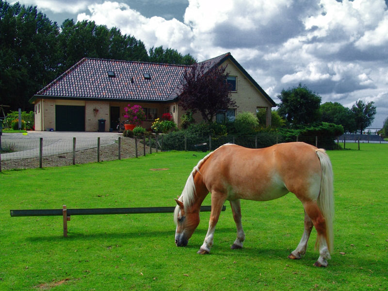 Hollanda'da bir ky