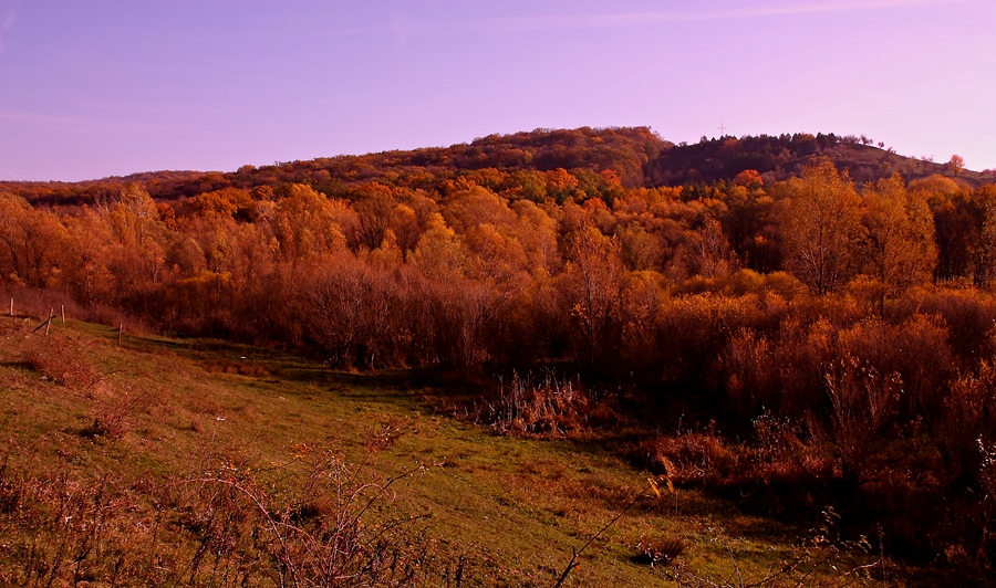Moldova-Sonbahar 2012(4)