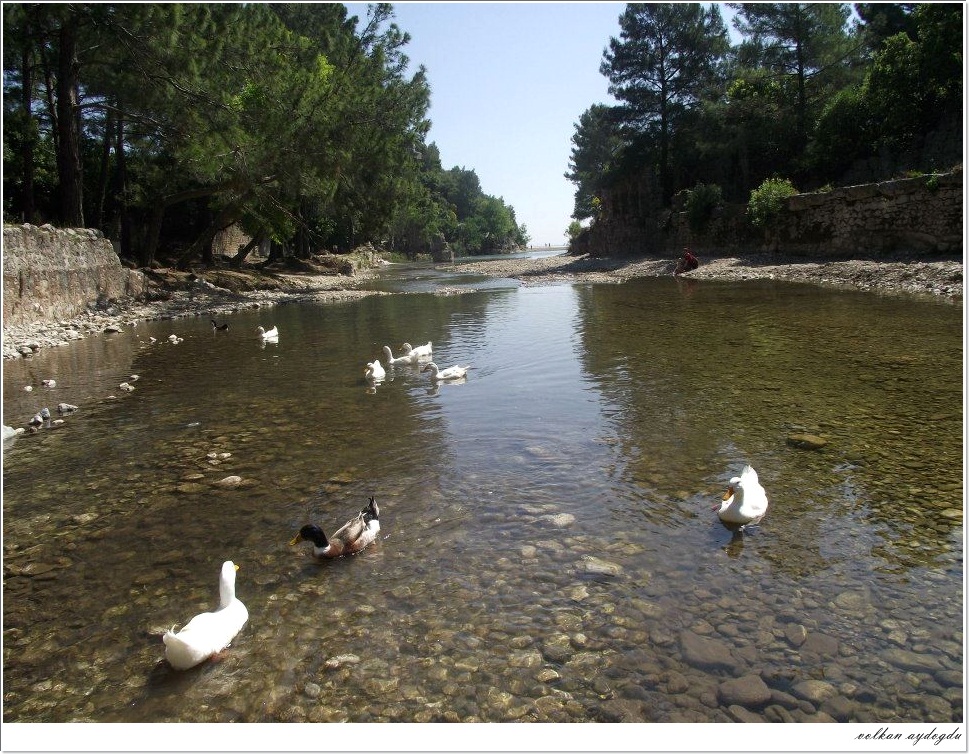 Olimpos Deresi