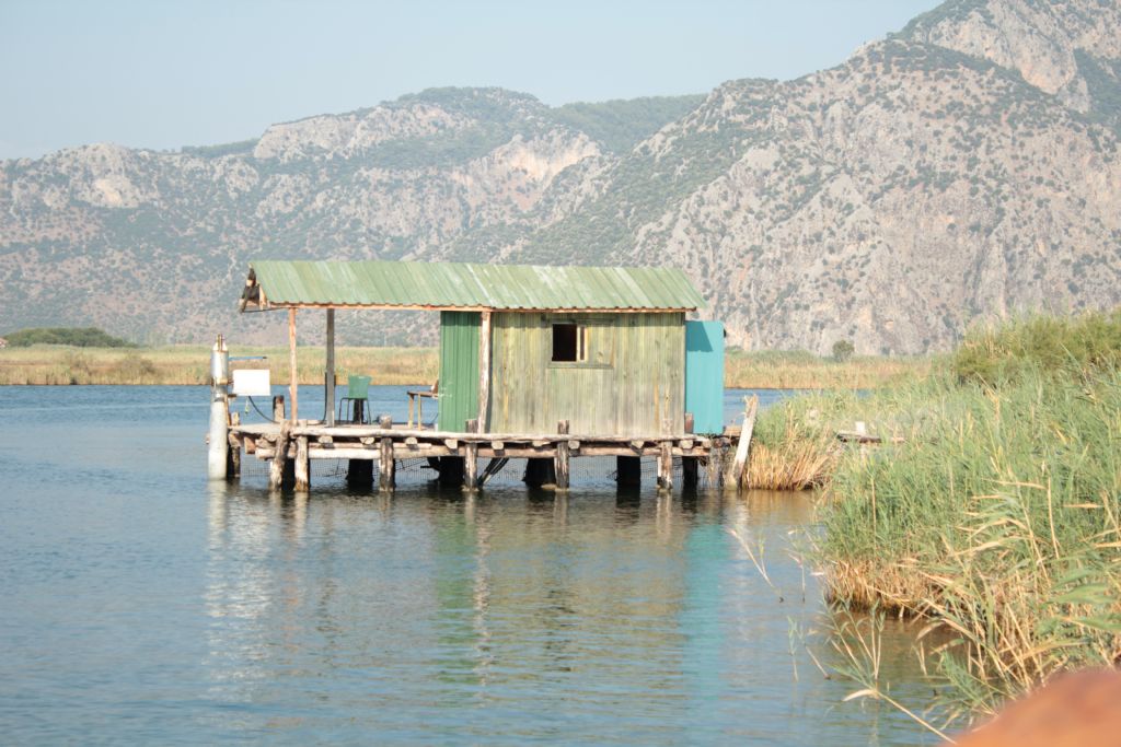 Dalyan