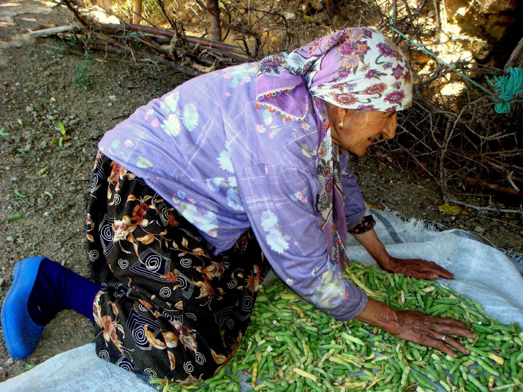 k��a haz�rl�k