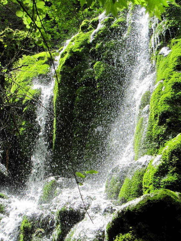 Denizli Mersinli �elalesi