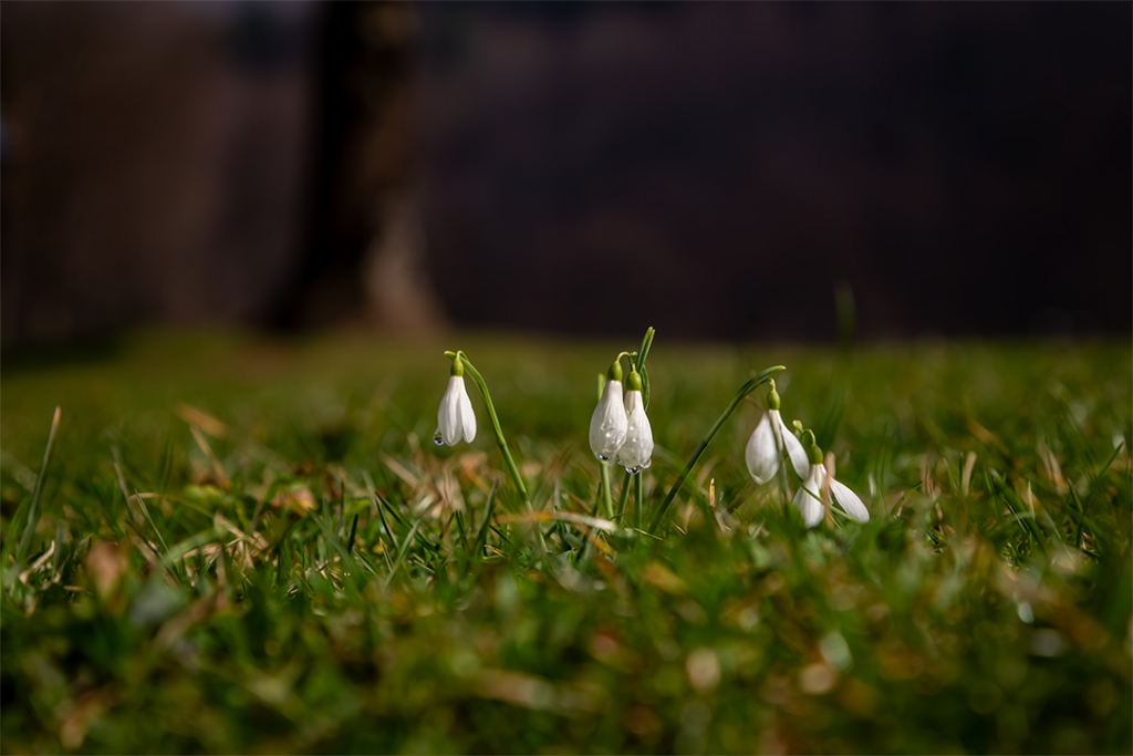 T�m yery�z�ne yay�lan.....