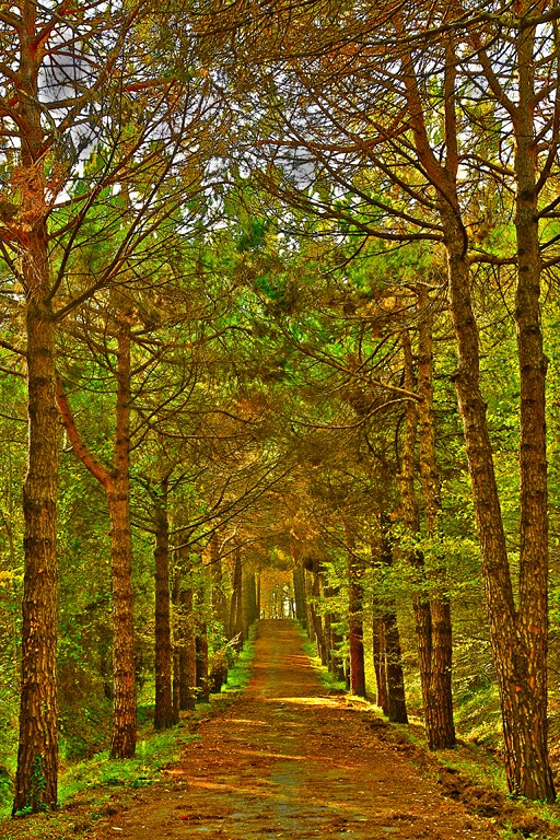 A�k� savunmada do�a