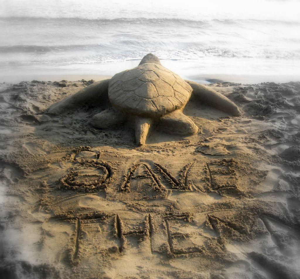 save...