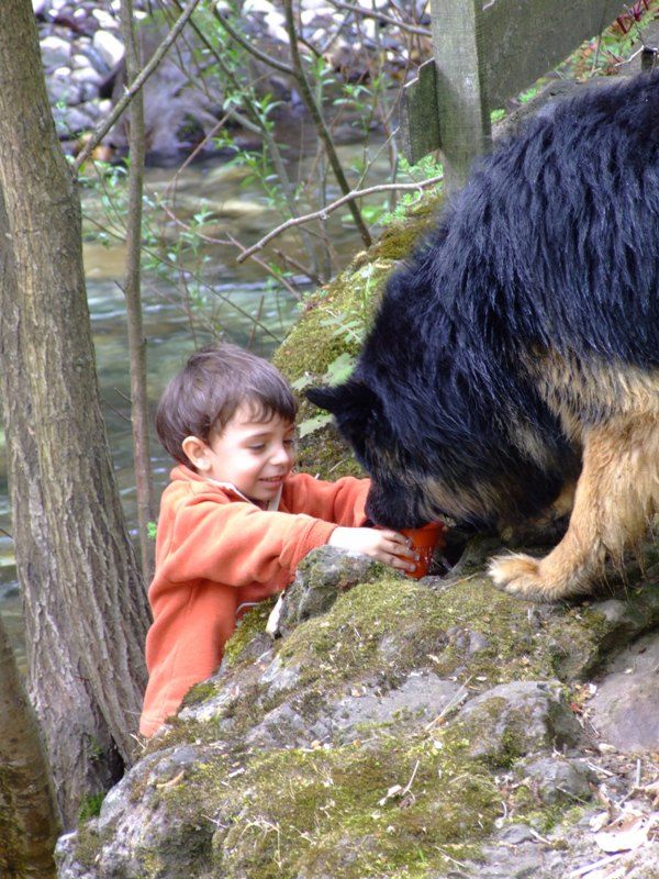 Haydut ve Minik Haydutlar 2