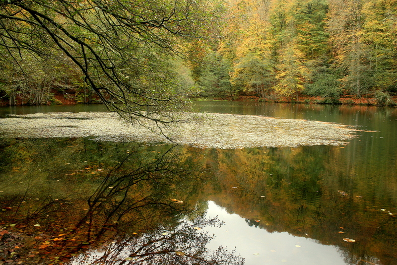 Kas�mda Yedig�ller