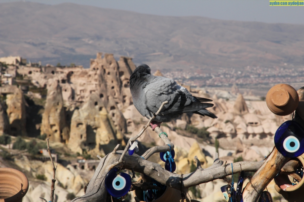 kapadokya