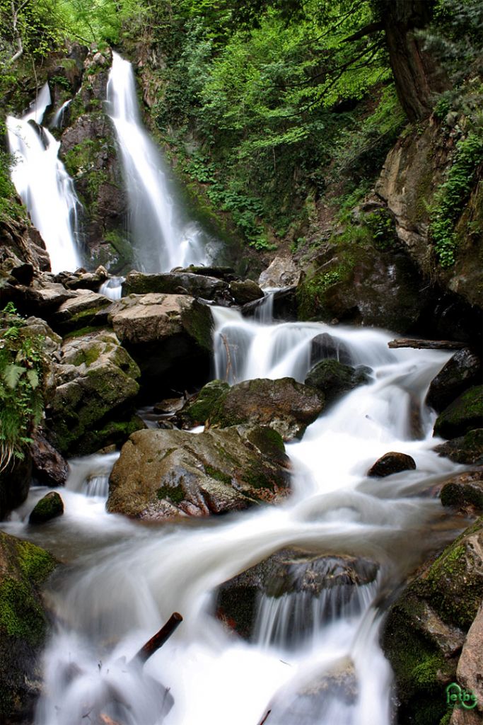 oylat elalesi 2 - inegl