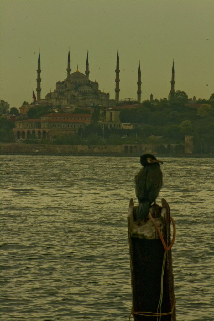 stanbul'u dinliyorum, gzlerim kapal...