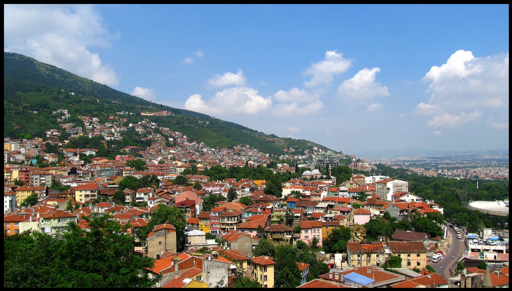 Bursa