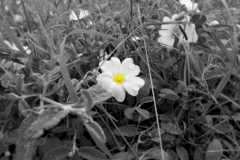 I'm sorry I can't be perfect (: