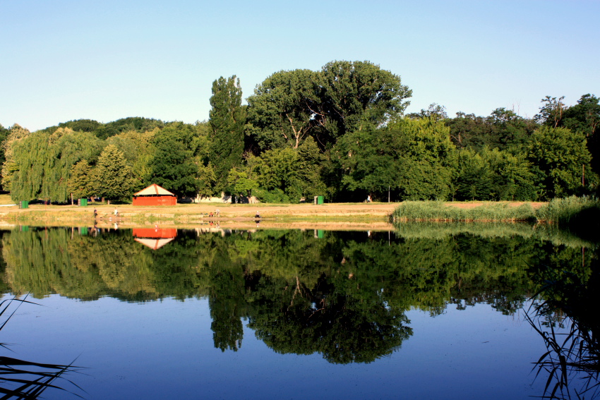 Mavi'de yeil,yeil'de mavi