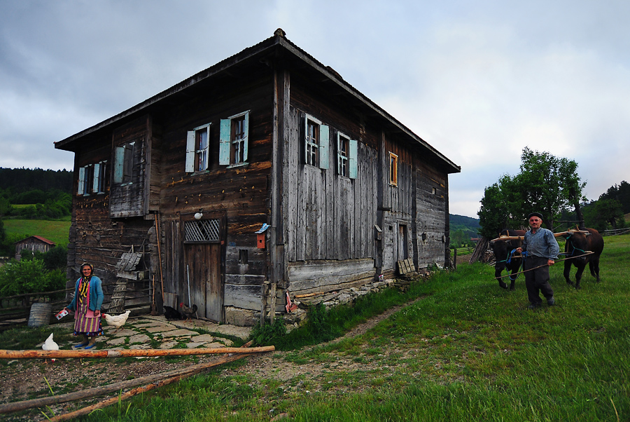 De�i�meyen tek �ey �al��makt�r.