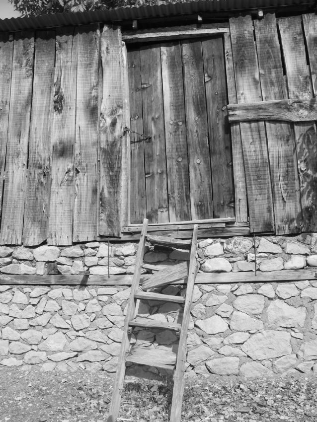 esir dmekte deil, teslim olmamakta btn mesele