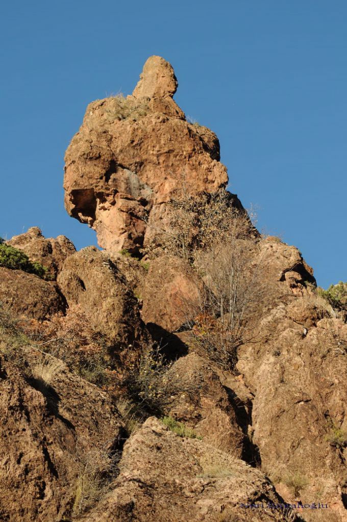 Ta� Adam Toroslar Adana