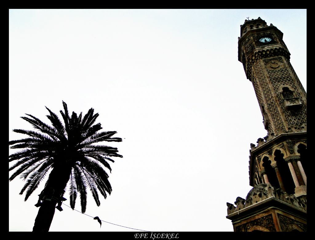 zmir'in saat kulesi ve palmiyesi 