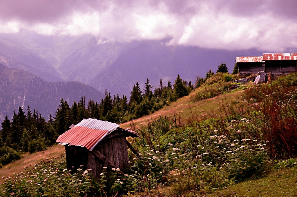 Kakar yaylalar (SAL mezras)..Rize..Trkiye_48