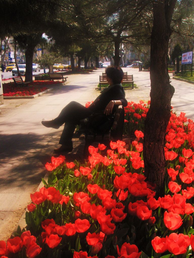 BAHAR HAVASI-AHKA NER