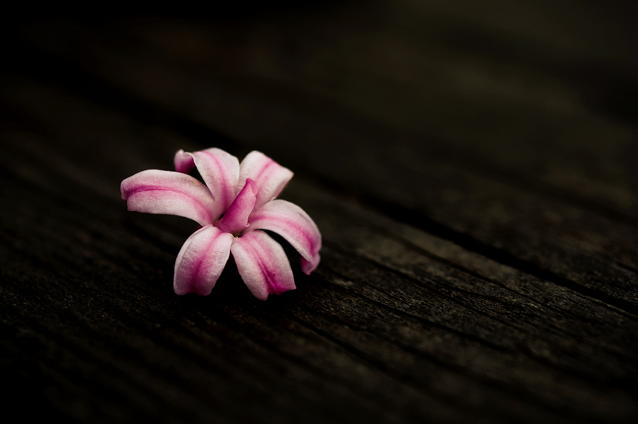 ... giderken braktn...