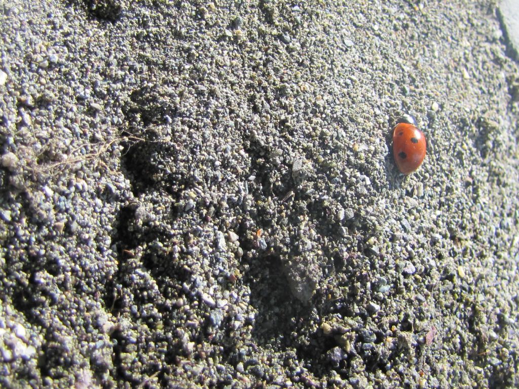 gidilecek cok yol var