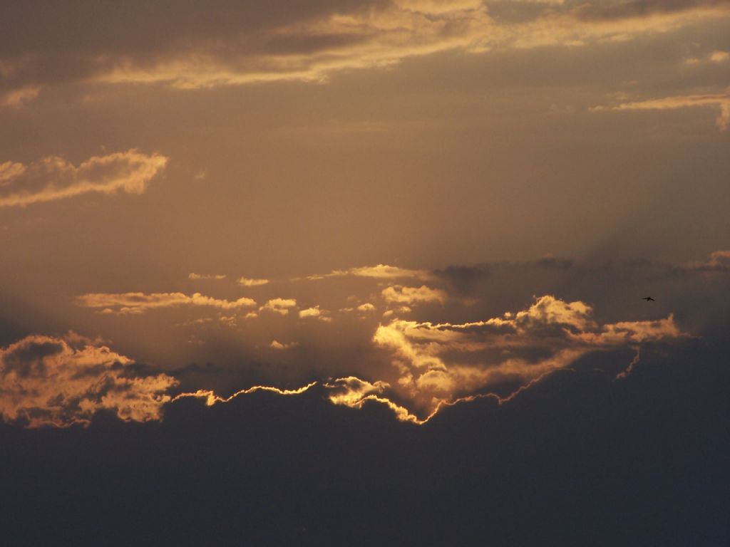 Gel Susal�m Bu Gece...