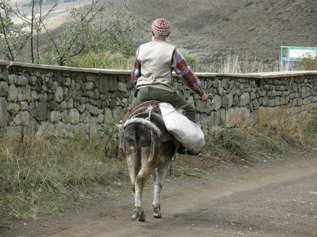 Bu yol nereye gider?