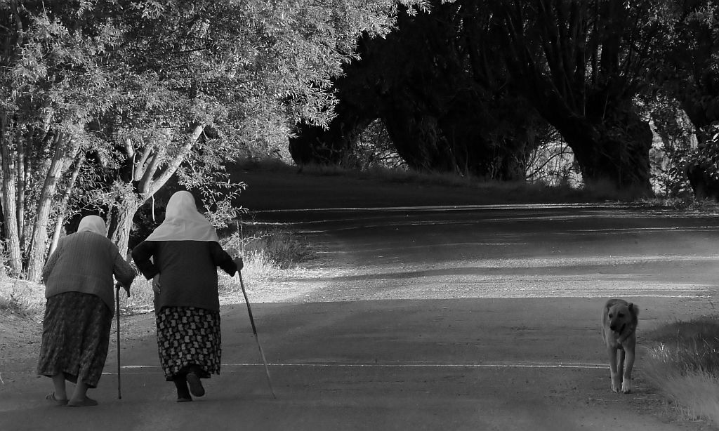 Kad�nlar ve k�pek