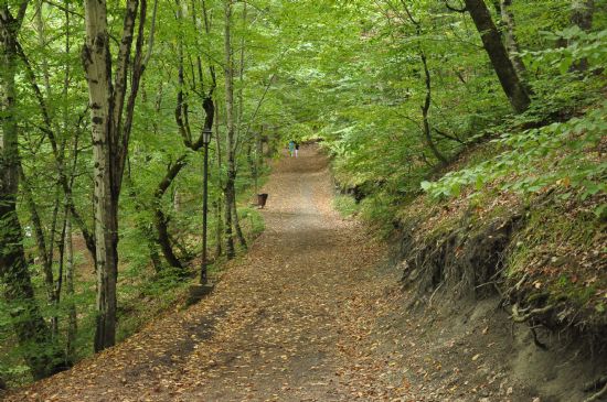 Yrnecek Engzel Yol