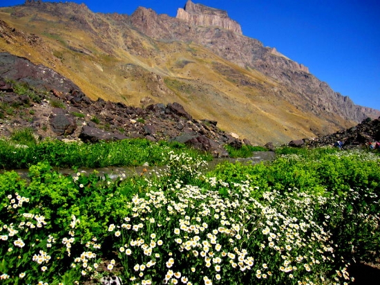 Cilo Dalar, Hakkari