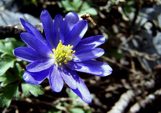 Memleket Hazineleri 6  Yourtuk