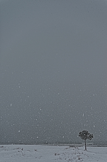 Yoksun Buralarda :( (2)