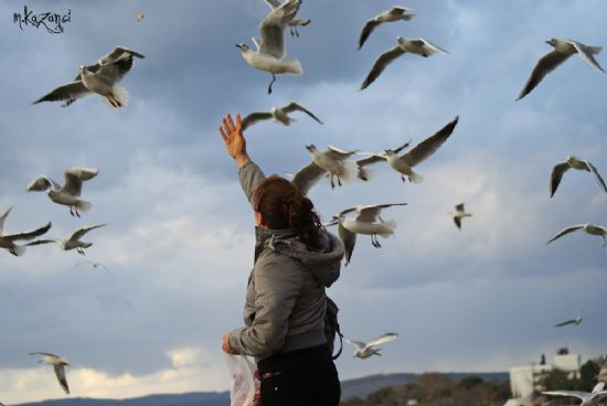 Ellerimle Beslediim Martlar