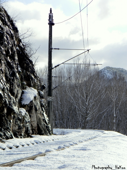 Yalnzln aresini Bulmular