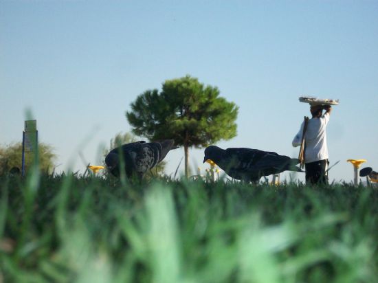 Hayatta Insnalar Ve Hayvanlarn Amaclar.