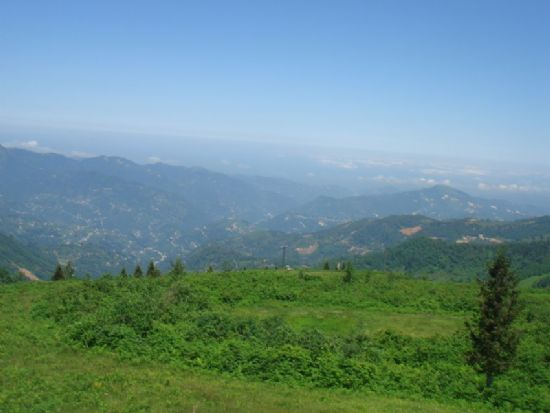 Yeilin Verdii Huzur...