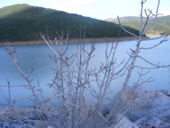 Tabiat�n Uyan���