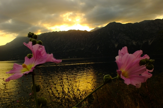 Kotor Krfezi, Karada