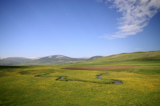 Ardahan Taraflarndan