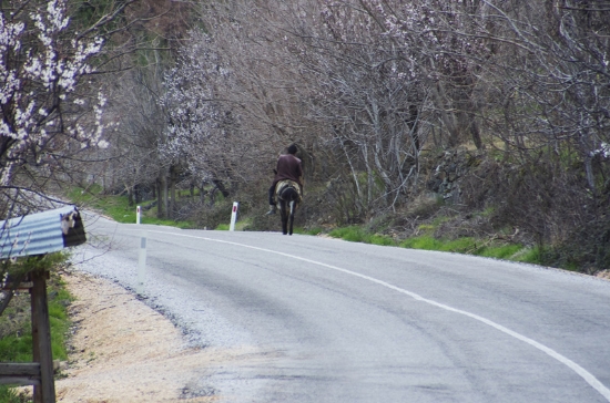 Yollar Uzun