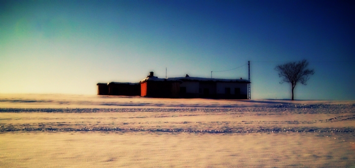 Yalnzlk Zor Be Usta!!!